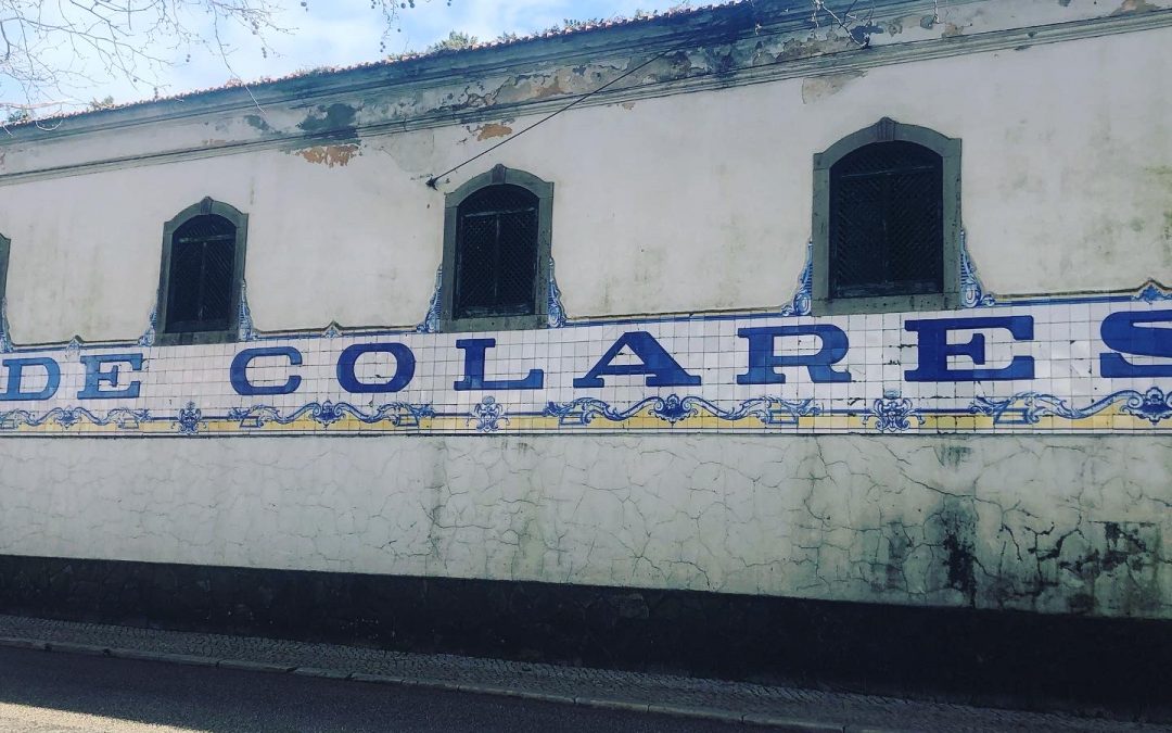 Blog: ons bezoek aan Colares